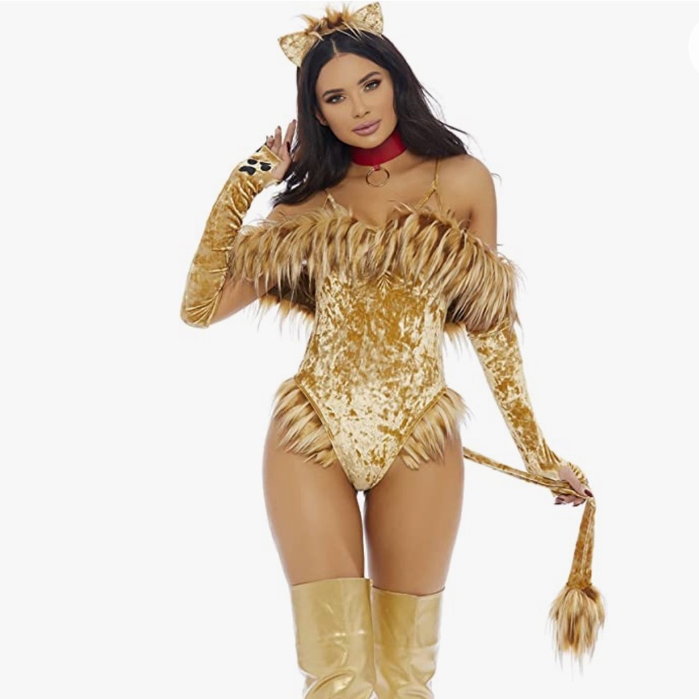 Sexy Lion costume brand new with accessories
